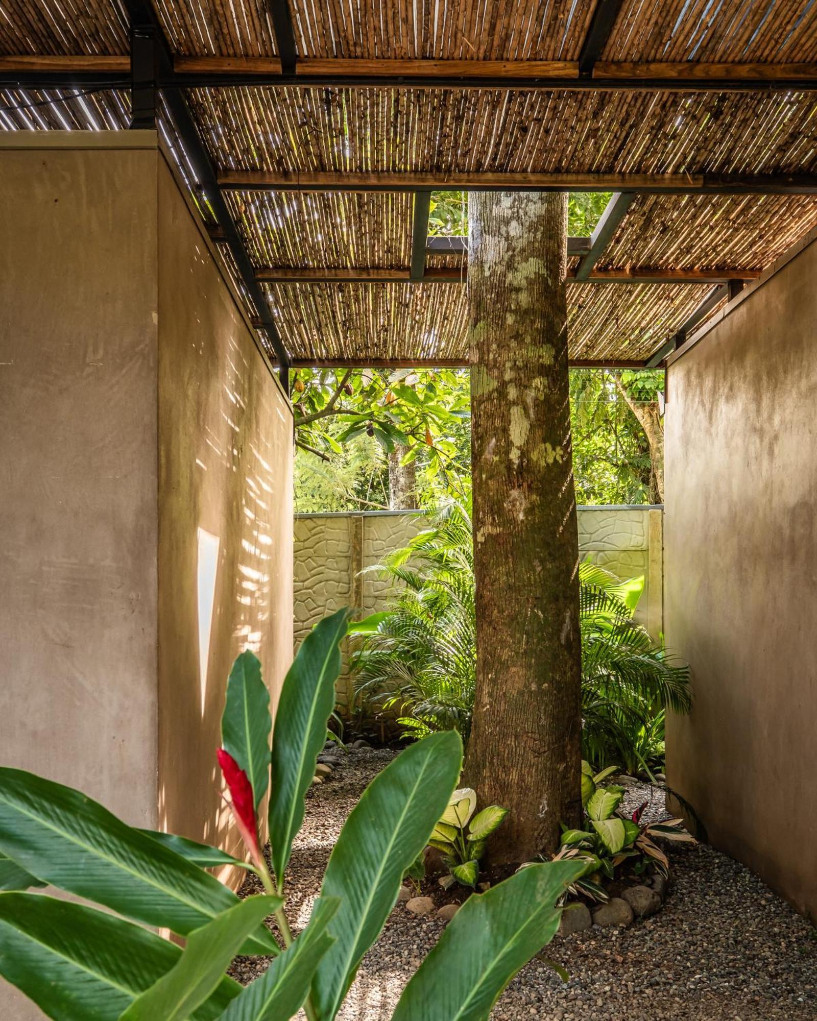 La Bonita Lodge Puerto Viejo de Talamanca 외부 사진